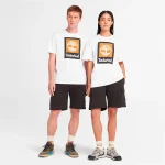 TB0A5QS2100_p_33500.webp