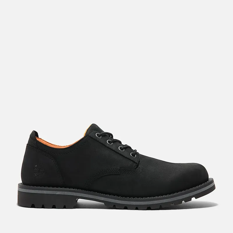 Men's Redwood Falls Lace-Up Waterproof Shoe